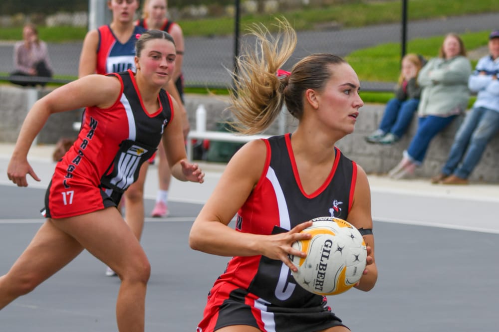 Huge first quarter for Gulls post image