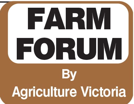 Facts about acute bovine liver disease post image