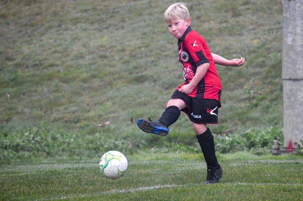 Sport benched again as season comes to a halt post image