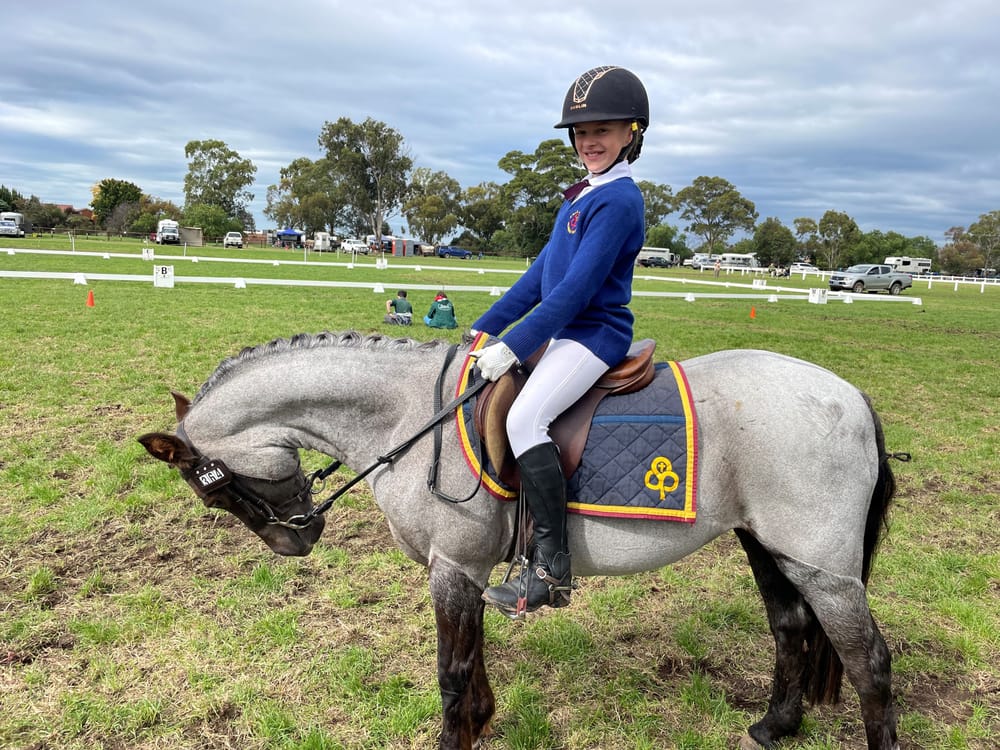 Georgia's equestrian success post image