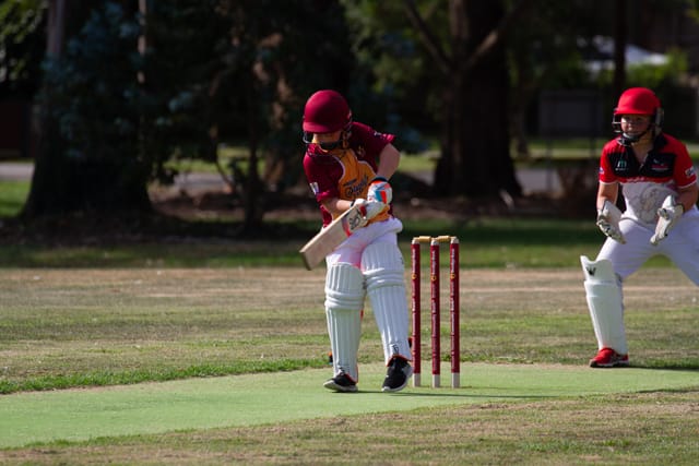 Cricket (U12's) Drouin Vs. Warragul - 09.02.2022 post image
