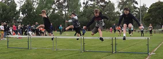 Jumping hurdles post image