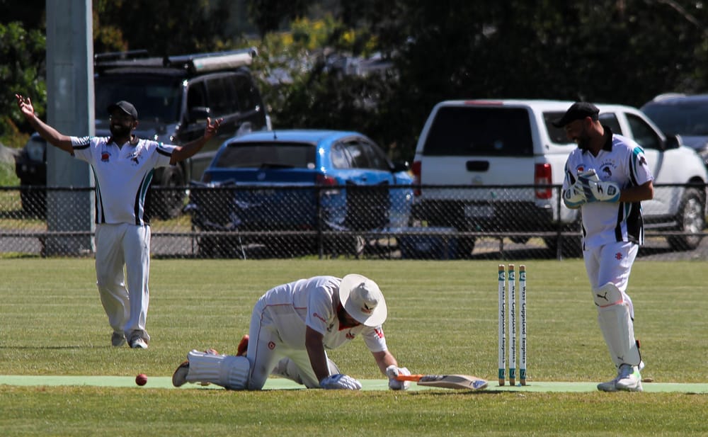 Dominant displays in division three post image