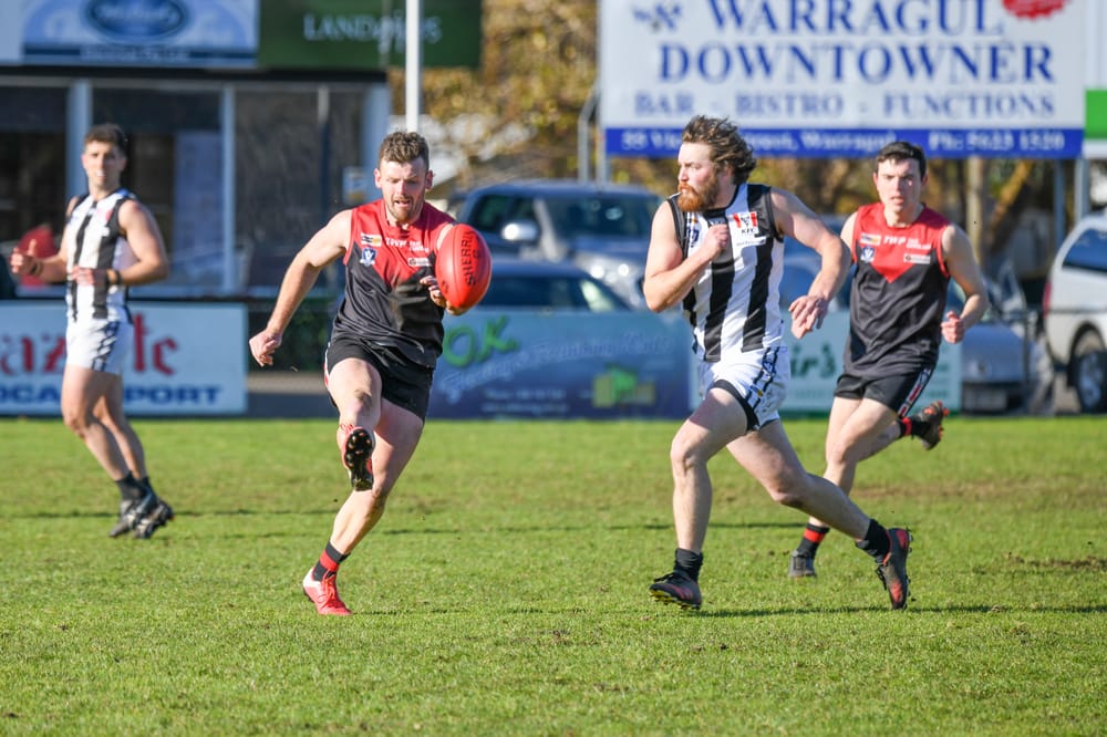 Gulls swooped by magnificent Magpies post image