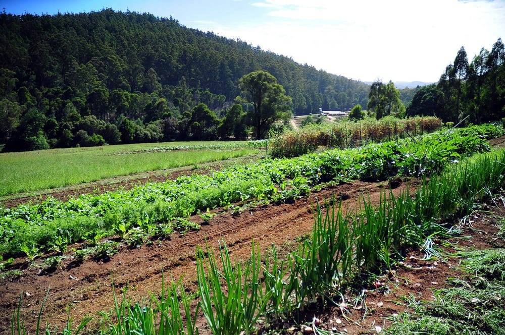 Discount continues for farm properties post image