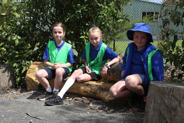 Habitat Garden NSPS - 20.12.2022 post image