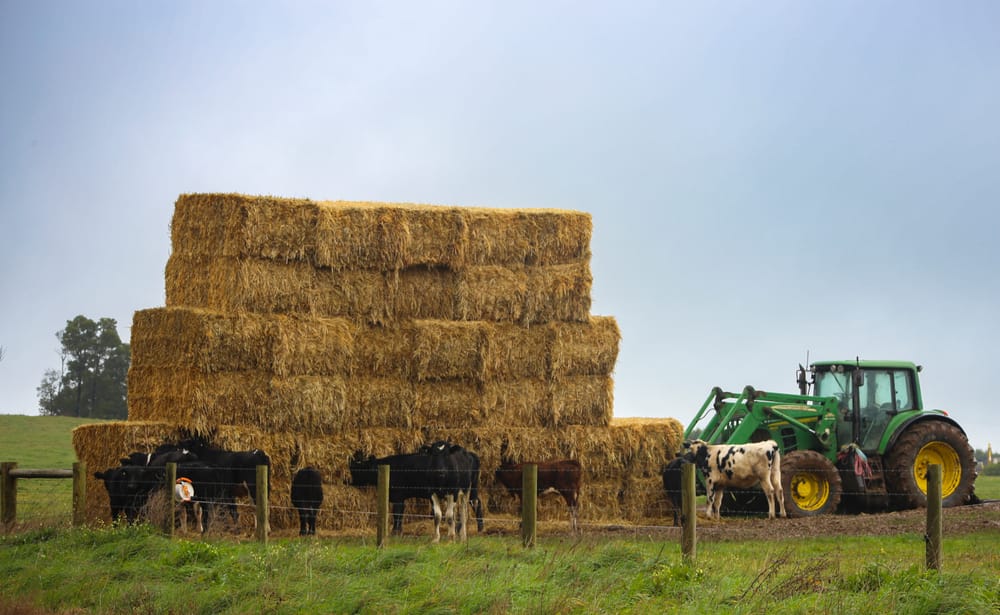 Take steps to stop hay fires post image