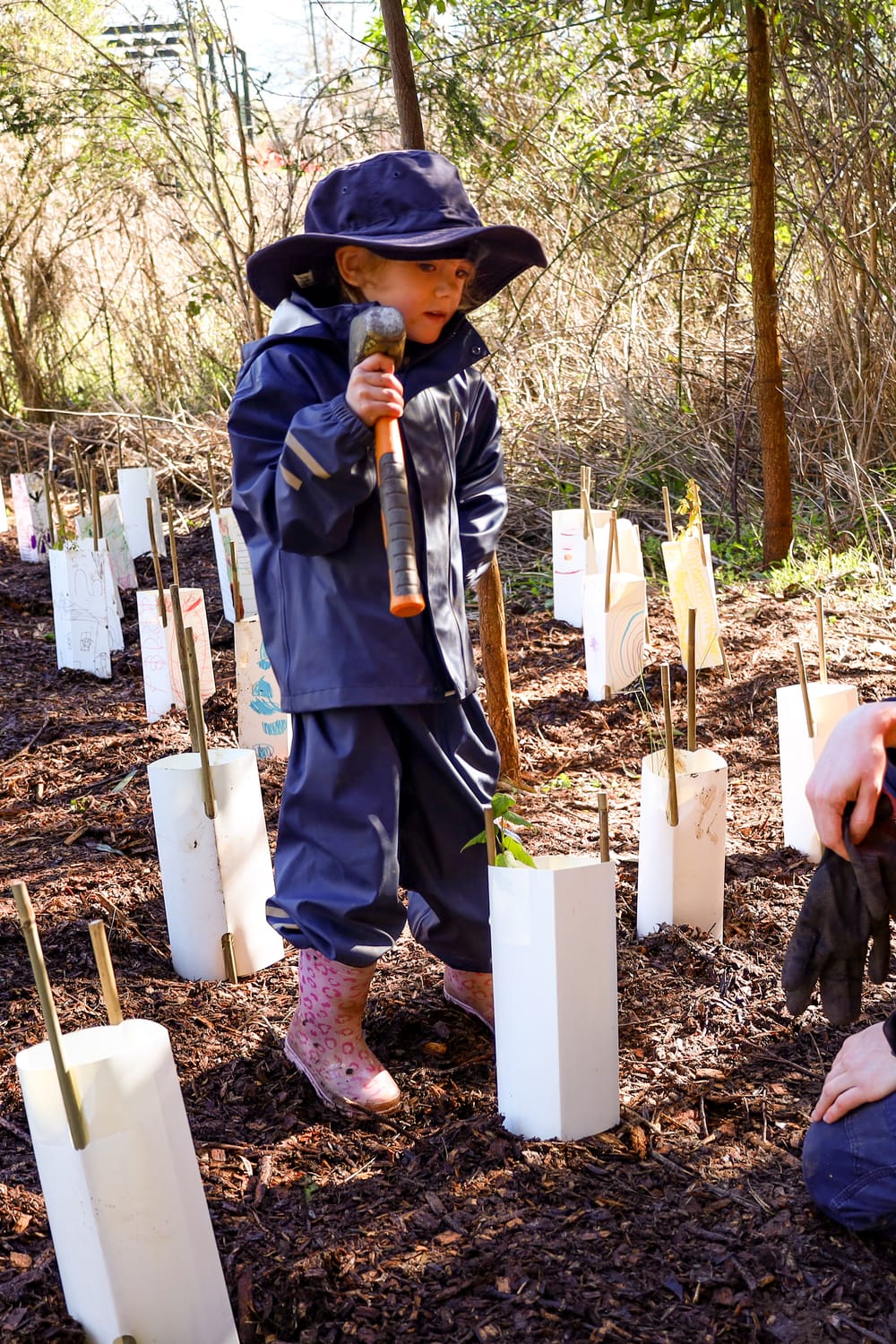 Sun shines for nature day post image