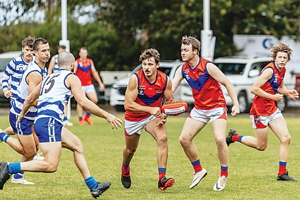 Top of the table clash between Lyrebirds and Crows post image
