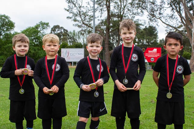 Mini Roos Warragul - 31102020 post image