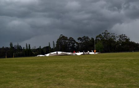 Drouin's turf wicket post image