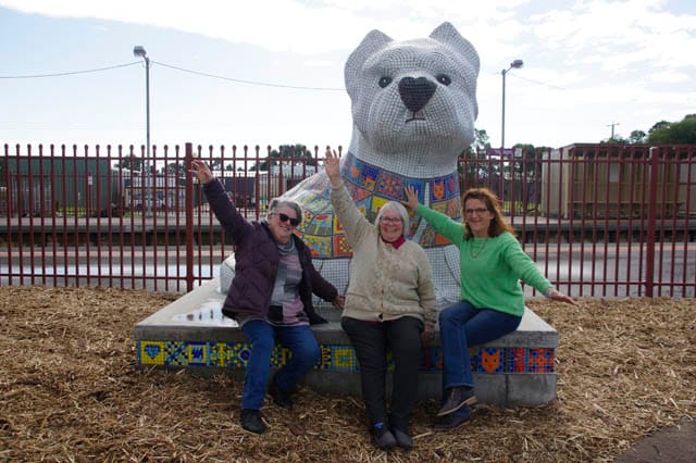 Photos - 04.07.2023 post image