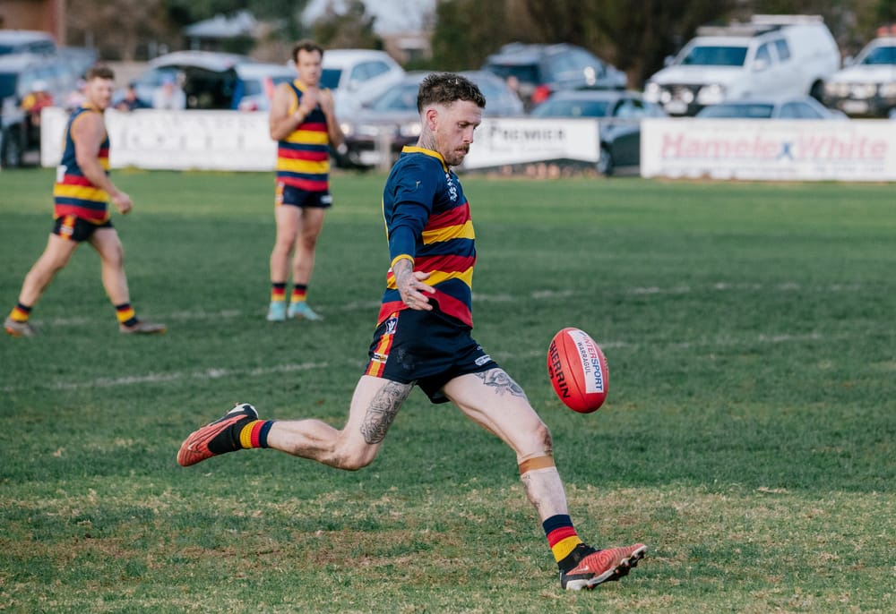 Finals fever hits Ellinbank and District footy post image