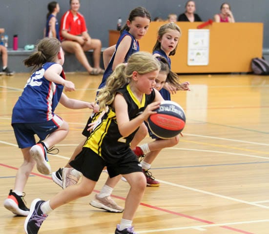 Basketball (U10's) - Chalkie Diamonds Vs. Gladiators Shadows - 23.02.2023 post image