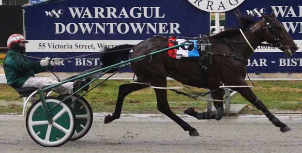 Alford is top horseman post image