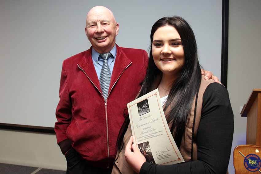 20 years of equine training post image