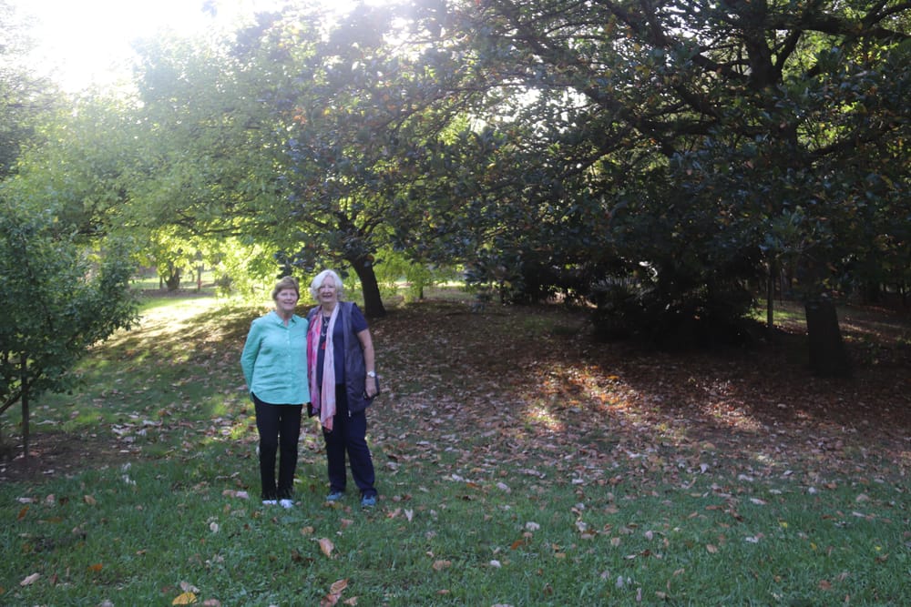 Arboretum - 12.04.2022 post image