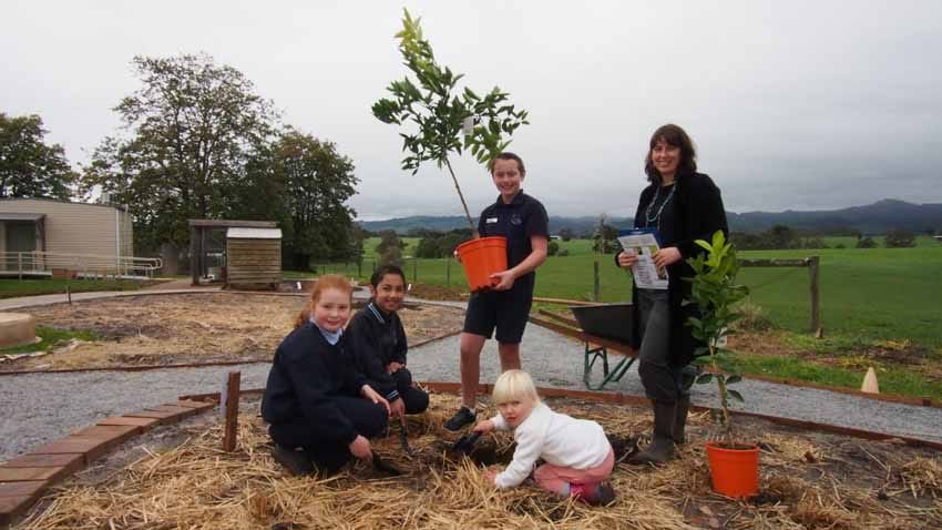 Day for trees post image