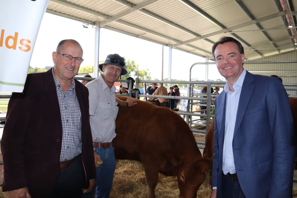 Record sales reported post image