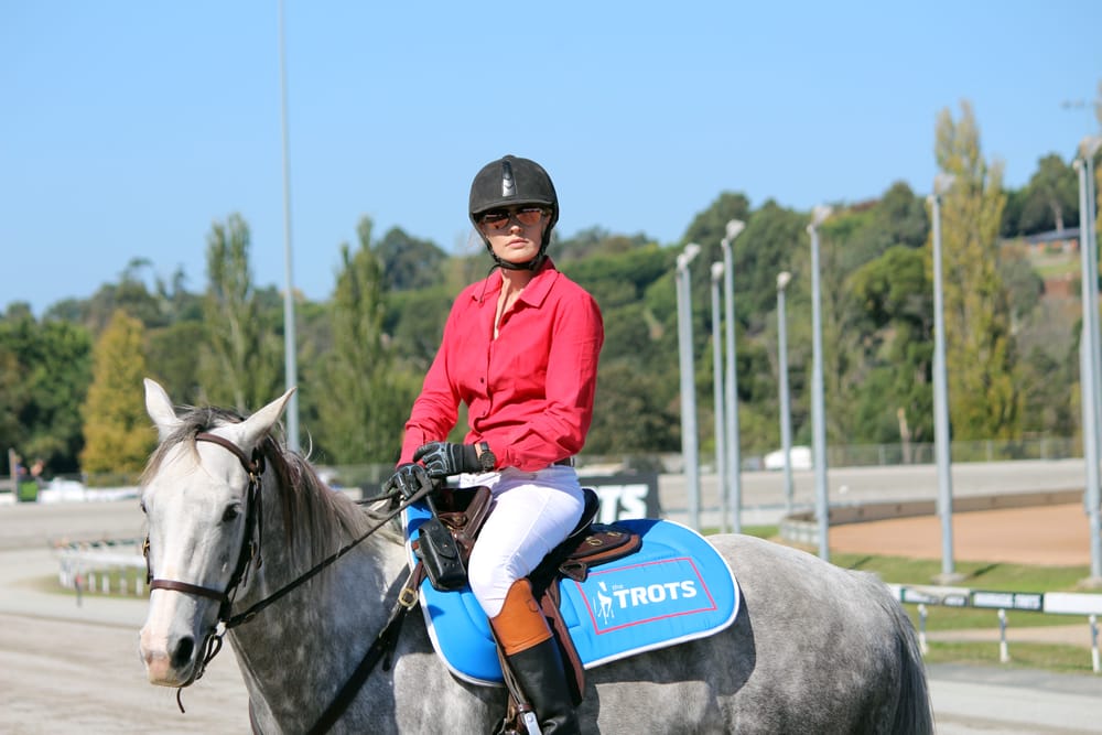 Smokey a winner for Casey post image