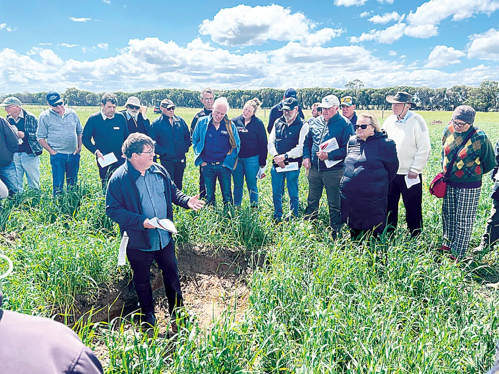 Learnings on show post image