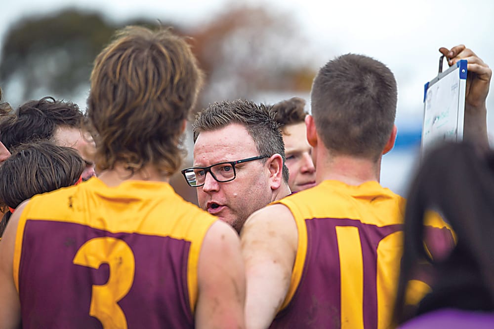 Hawks go down swinging post image