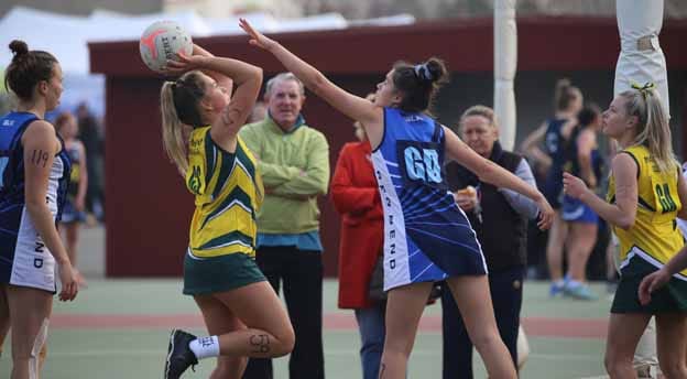 Marist hosts carnival post image