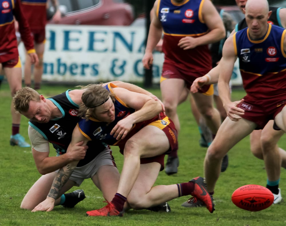 Dusties feel the bite against Cobras post image