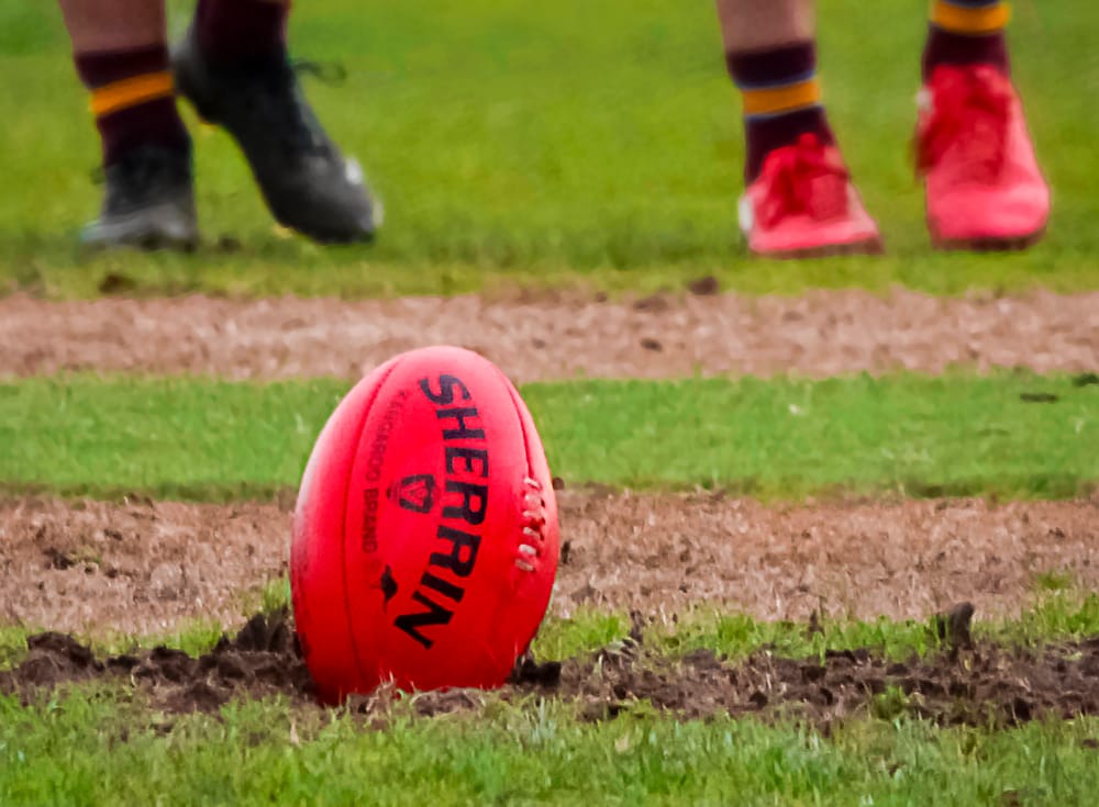 Neerim too strong for Ellinbank post image