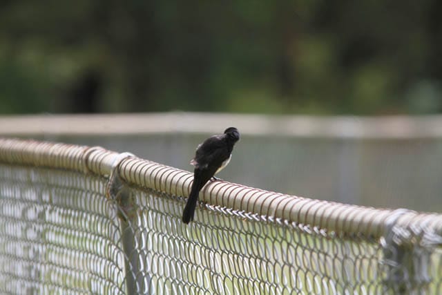 Photos - 19.12.2023 post image