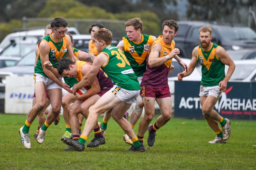 Parrots pound wayward Hawks post image