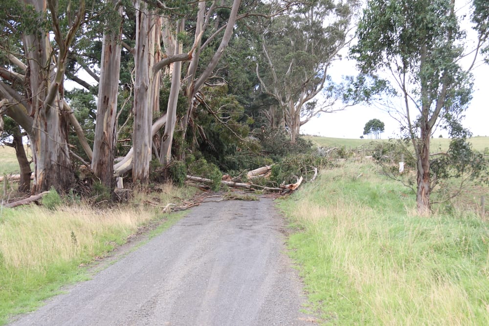 Lot still do do to clear district roads post image