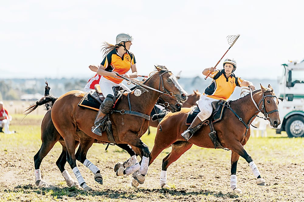 Polocrosse interstate feature post image