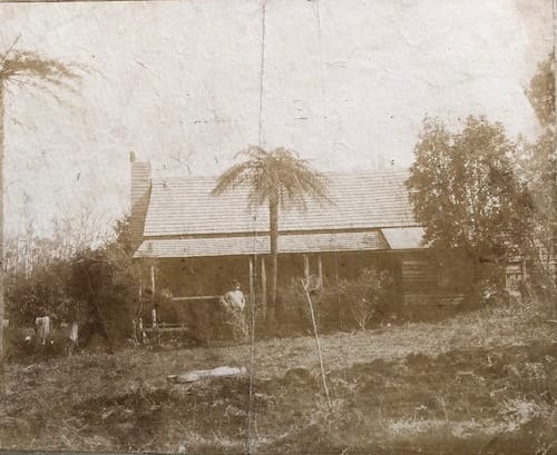 Snapshot of the past post image