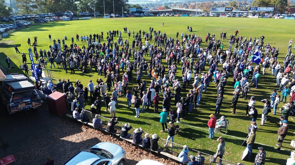 Rally says strong NO post image