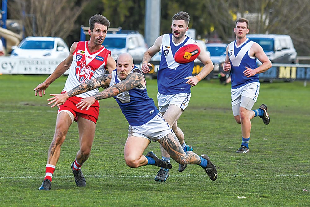 Thorpdale's run ends post image