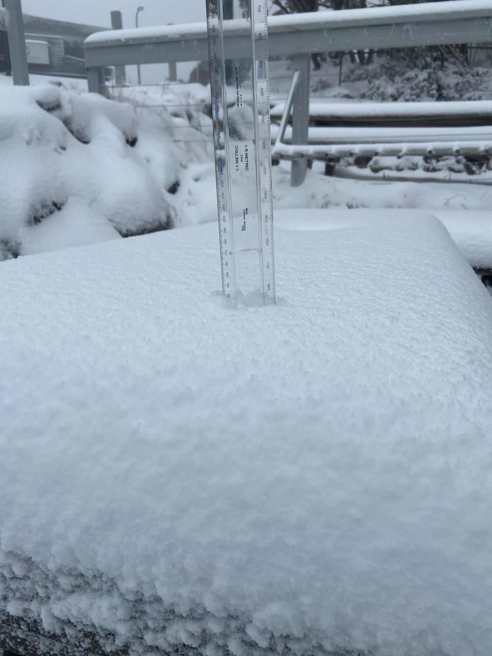 Wintry blast post image