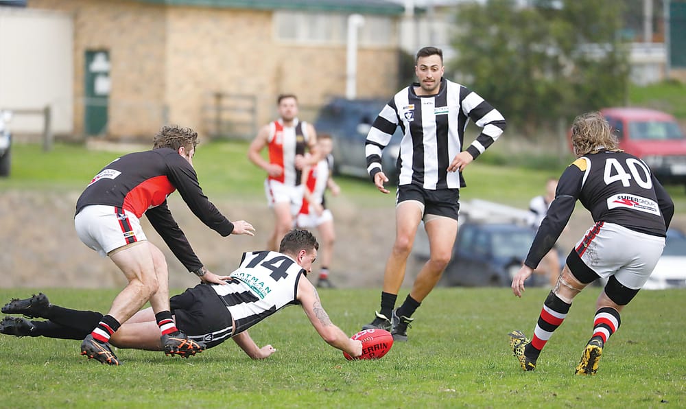 Pack of seven battle for four finals spots in EDFNL post image