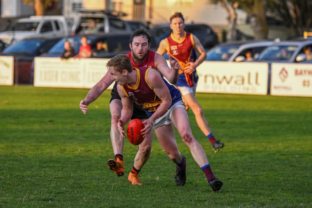 Gulls and Hawks to tackle round two tests post image