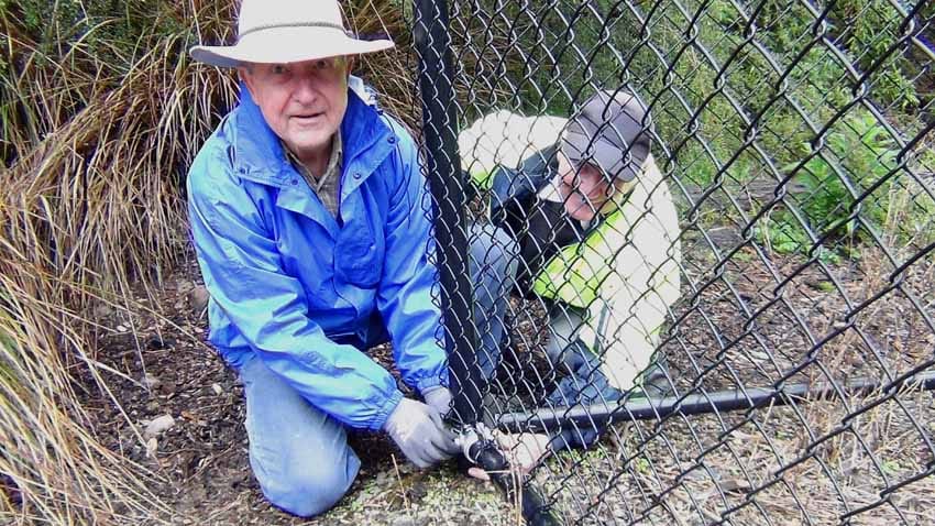 Clean up for Rokeby trail post image