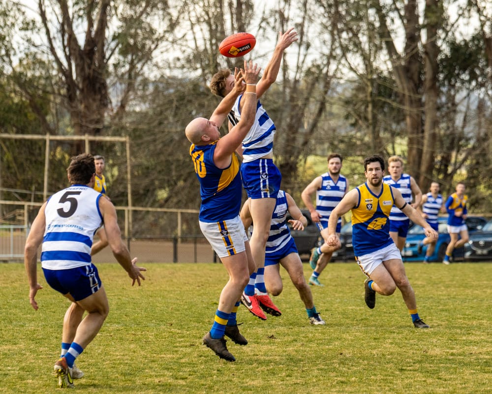 Urie’s day to remember gives Cats the win post image