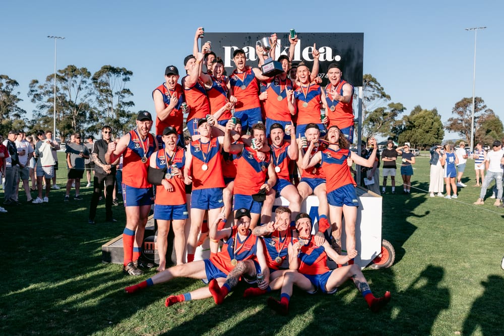 Past seasons come into play for Lyrebirds post image