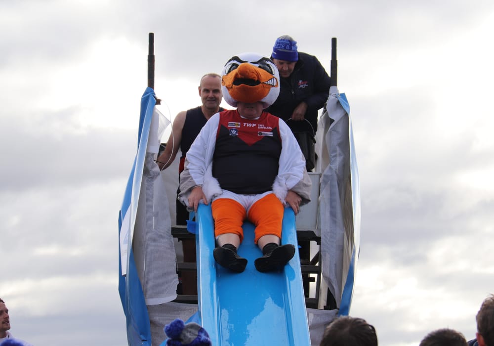 Gulls slide for MND post image