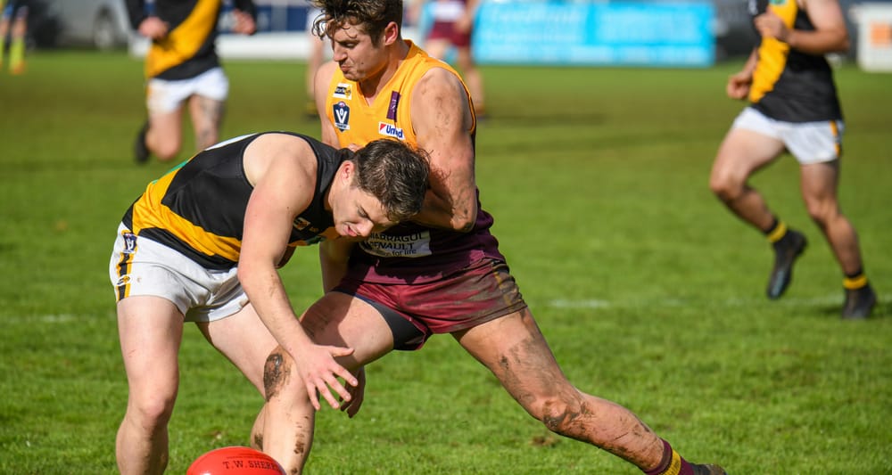 Gulls and Hawks face tough opposition in Gippsland League post image