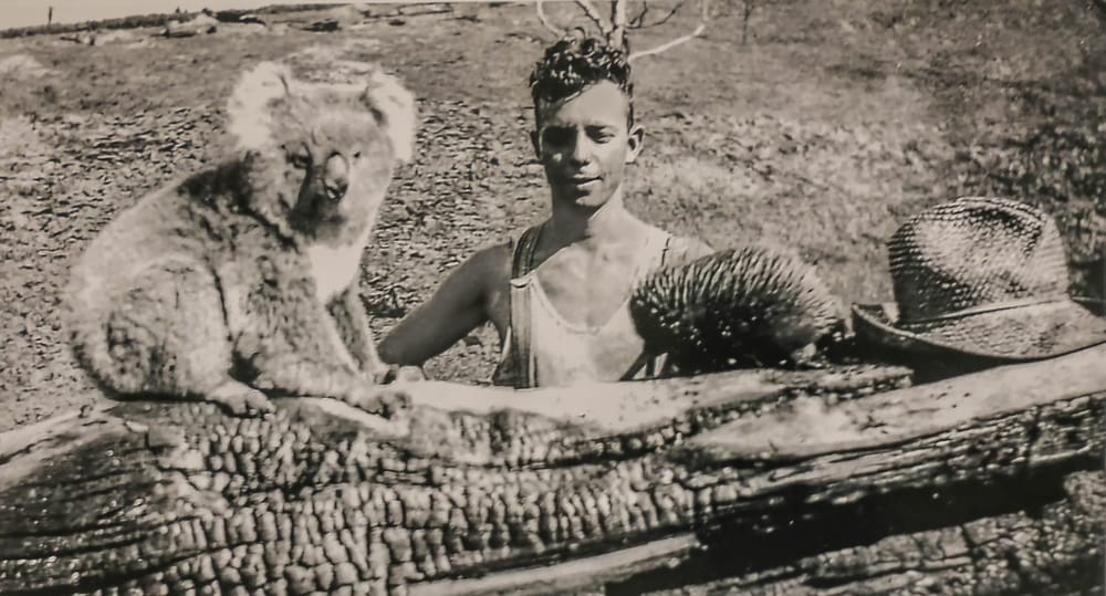 Snapshot of the past: local wildlife post image