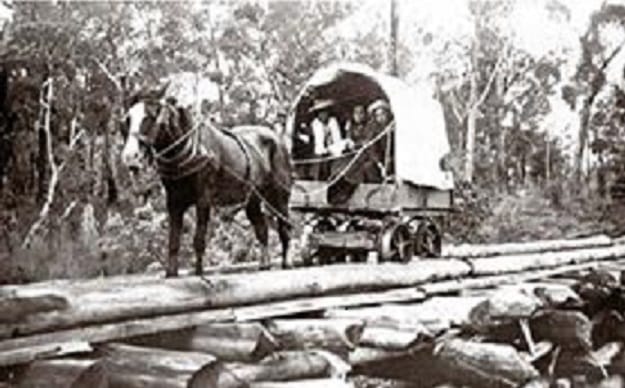 Snapshot of the past: Collins family post image