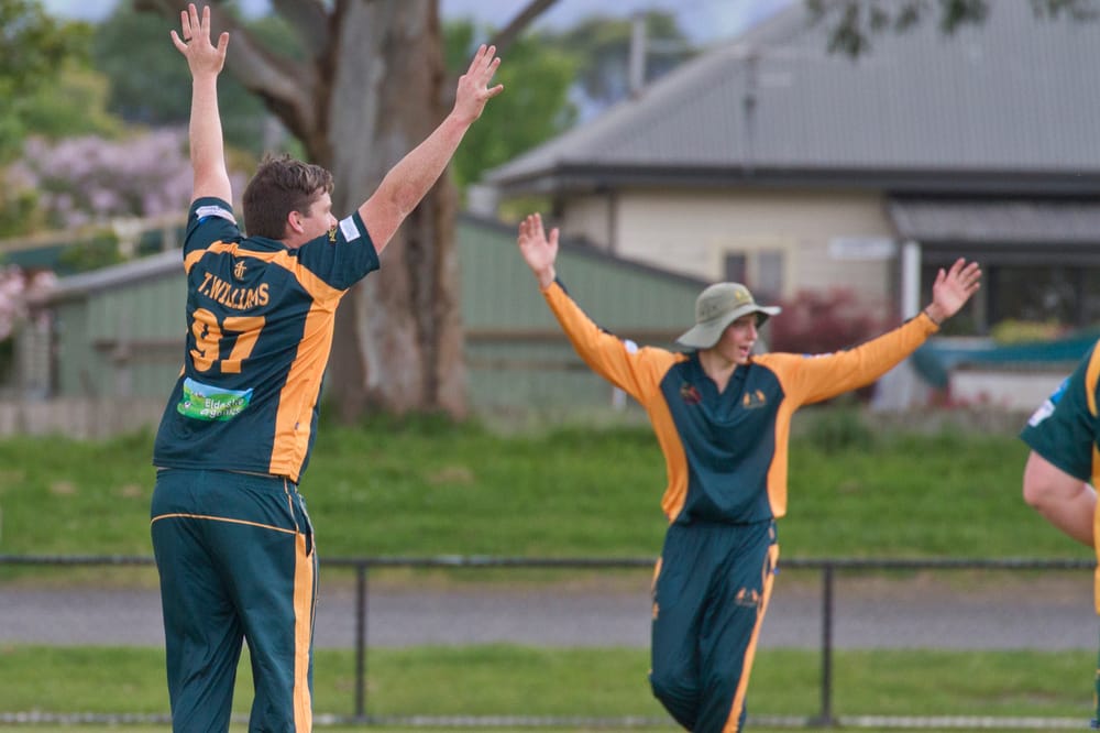 Hallora halted by rain, again post image