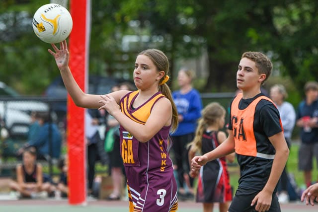 Netball Monday Night (U13's) - Drouin Hawks Vs. Flames - 06.02.2024 post image