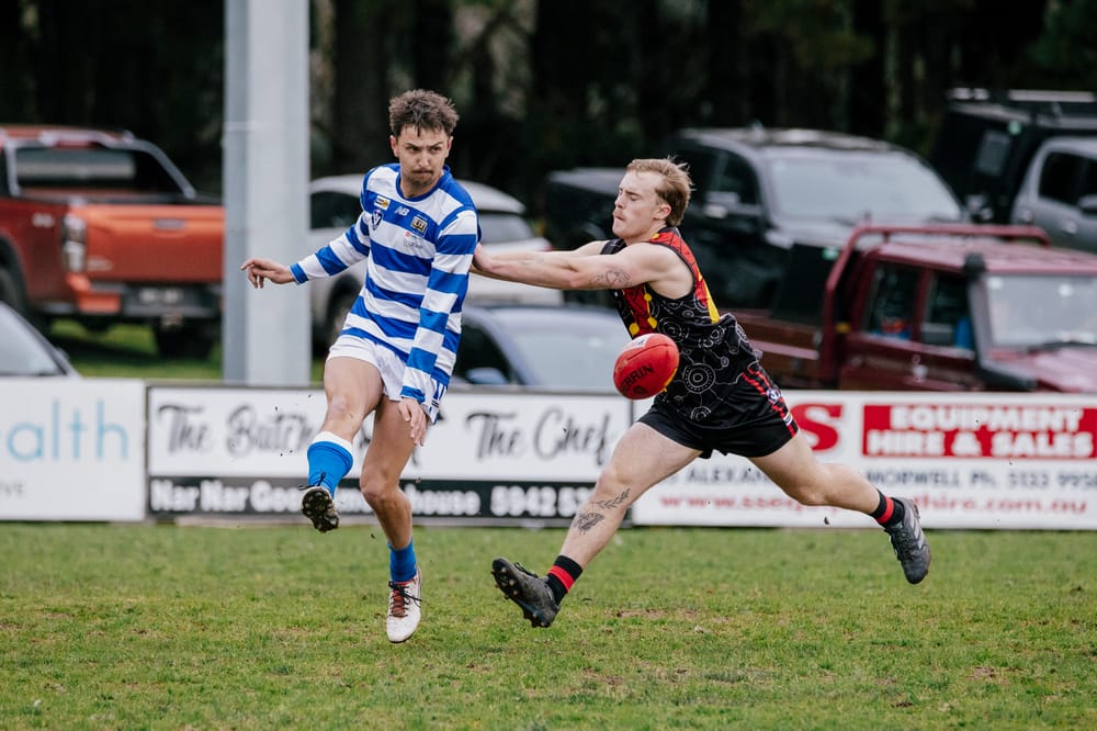 Cats brutalise Bombers post image