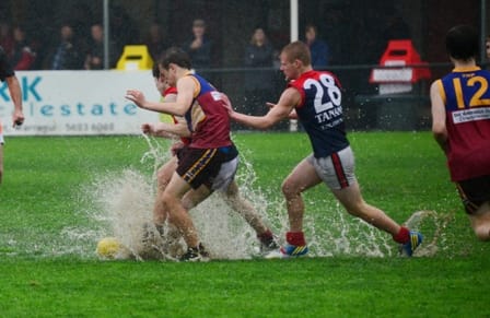 Gulls in sixth place post image